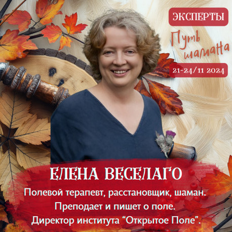 [Елена Веселаго] Большое решение (2024)_0.png